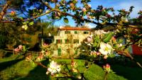 B&B Castiglione Chiavarese - B&B Tre Ponti - Bed and Breakfast Castiglione Chiavarese