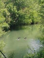 River Bank Apartments & Castle view - Bed and Breakfast Bihac