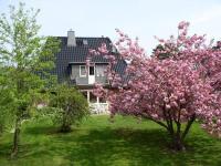 Ferienhaus Brandt - Ferienwohnung Sankt Peter-Ording