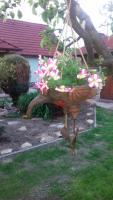 Apartmány na Hlíně - B&B
