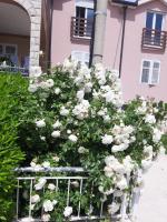 Nijona 1 - B&B Trebinje