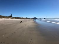 Mt Maunganui Vitamin Sea by the beach - B&B Tauranga