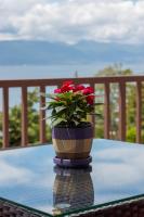 Studio mit Balkon und Seeblick