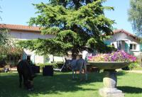 Camera Matrimoniale Standard con Bagno in Comune