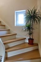 Krusttēvu māja - B&B