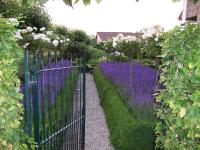 B&B Bruges - Vakantielogies Boerke Naas - Bed and Breakfast Bruges