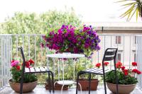 Relais Star of Trastevere - B&B Rome