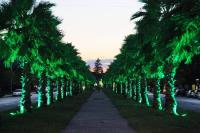 Green Palma - Bed and Breakfast