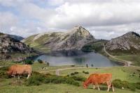 Apartamento El Fondon 2 - B&B Cangas de Onis