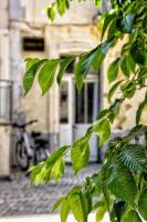B&B Montpellier - La Fontaine - Studio Ecusson - Bed and Breakfast Montpellier