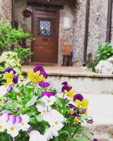 Rupe Antica - B&B Artena