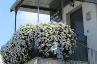 B&B Eracle - B&B Ercolano