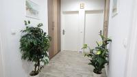Apartments Lulic - B&B