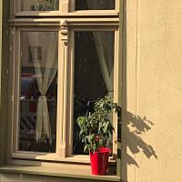 Ferienwohnung Kamp "Blick ins Grüne" - Ferienwohnung