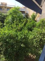 The Pirate's Mansion - B&B Nafplion