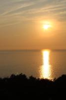 Superior One-Bedroom Apartment (2-4 Adults)