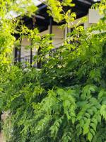 Nehir Dalyan Boutique Otel - B&B Ortaca