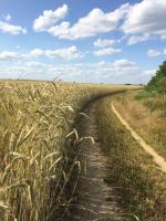 Apartamento de 3 dormitorios