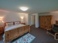 Superior One-Bedroom Apartment with Balcony