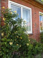 Altes Pastorenhus - Land und Meer - B&B Osterbruch