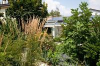 Boccadibacco - Ferienwohnung San Pietro in Cariano