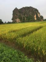 B&B Ninh Bình - Tam Coc Heart Homestay - Bed and Breakfast Ninh Bình