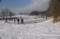 Apartment mit 1 Schlafzimmer