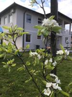 Dream Villa - Bed and Breakfast Sarajevo