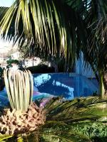 Canto da Manu - B&B