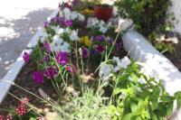 Nana's studios - B&B