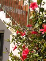 CASALE HIBISCUS - Bed and Breakfast