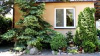 Mini Studio - B&B Augustów