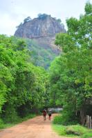 B&B Sigiriya - Thal Sewana Home Stay - Bed and Breakfast Sigiriya