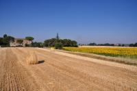 B&B Il Molinello - B&B Asciano