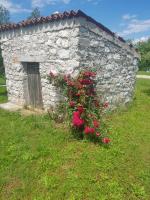 Olea - B&B