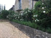Jasmine Cottage - Ferienwohnung