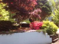 Deluxe Zimmer mit Queensize-Bett