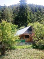 Guest House Ilia - B&B Borjomi