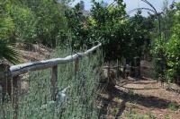 il corbezzolo - B&B