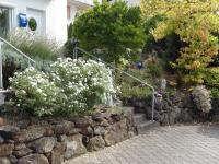 Ruhe - Oase am Eichwald - B&B Bad Nauheim