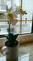 Exclusive in the Center of Zagreb Lions Den 2 - B&B