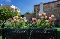 La Nuvoletta - Bed and Breakfast Syracuse