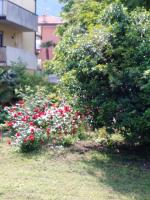 Casa Akira - Chambres d’hôtes Riva del Garda