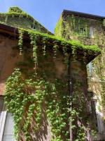 Navona Relais - Center of Rome - B&B Roma