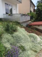 Ferienwohnung mit 3 Schlafzimmern, Erdgeschoss, zentral Freyung - Ferienwohnung Freyung