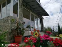 Pensiunea Casa Domnitei - B&B