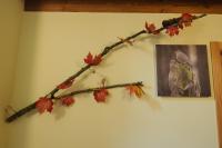 Hostal Rural Iratiko Urkixokoa - B&B Orbaizta