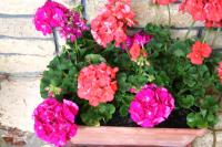 La casa di Rachele - Bed and Breakfast Sarteano