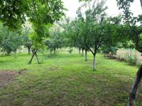 Danica House - B&B Krivolak