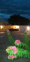 Appartement Blue Coast - Bed and Breakfast